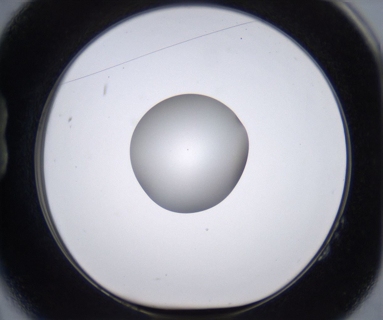 folderID264_plateID2264_batchID10350_wellNum14_profileID1_d1_r157391_ef.jpg