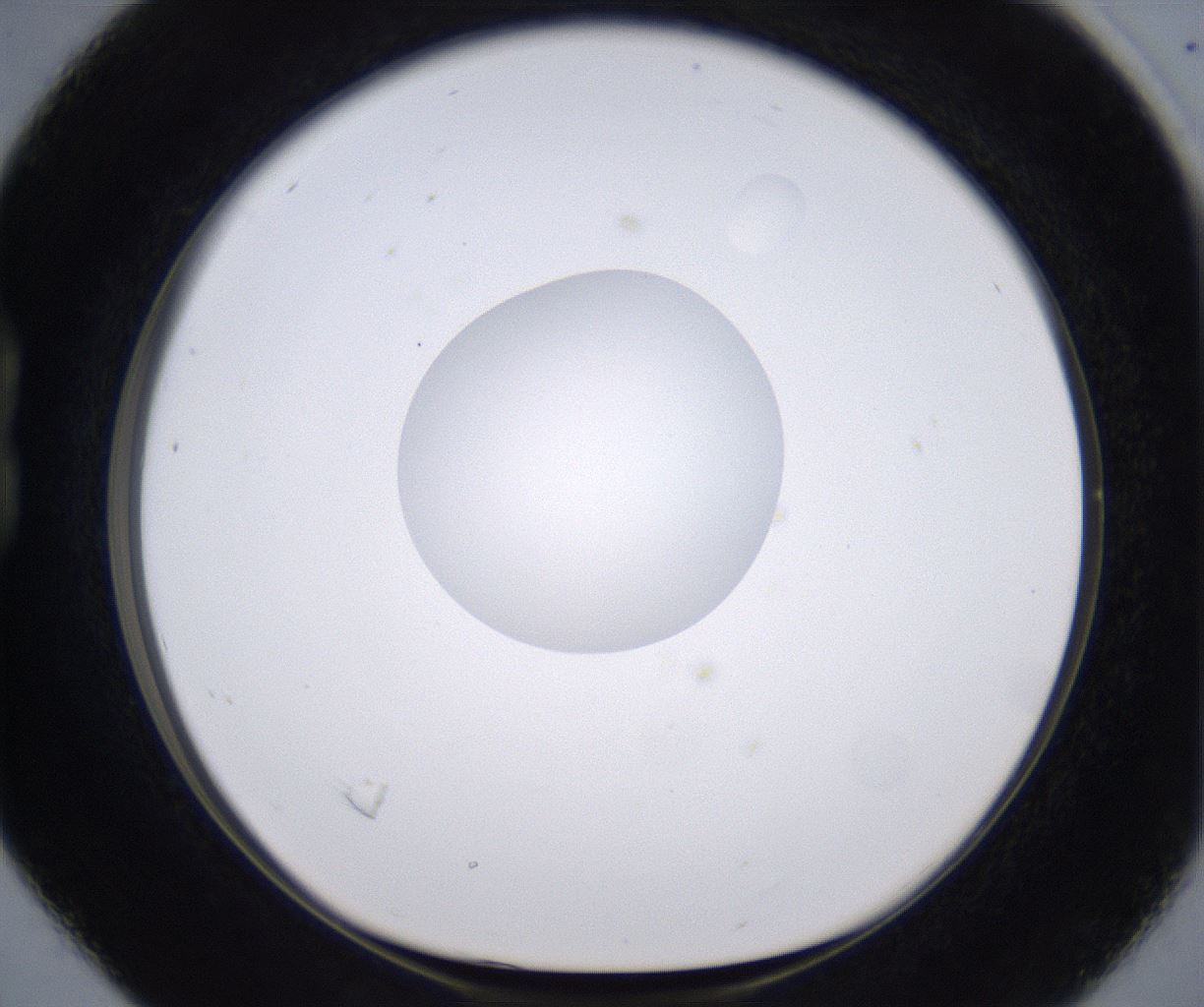 folderID264_plateID2264_batchID10350_wellNum16_profileID1_d1_r157393_ef.jpg