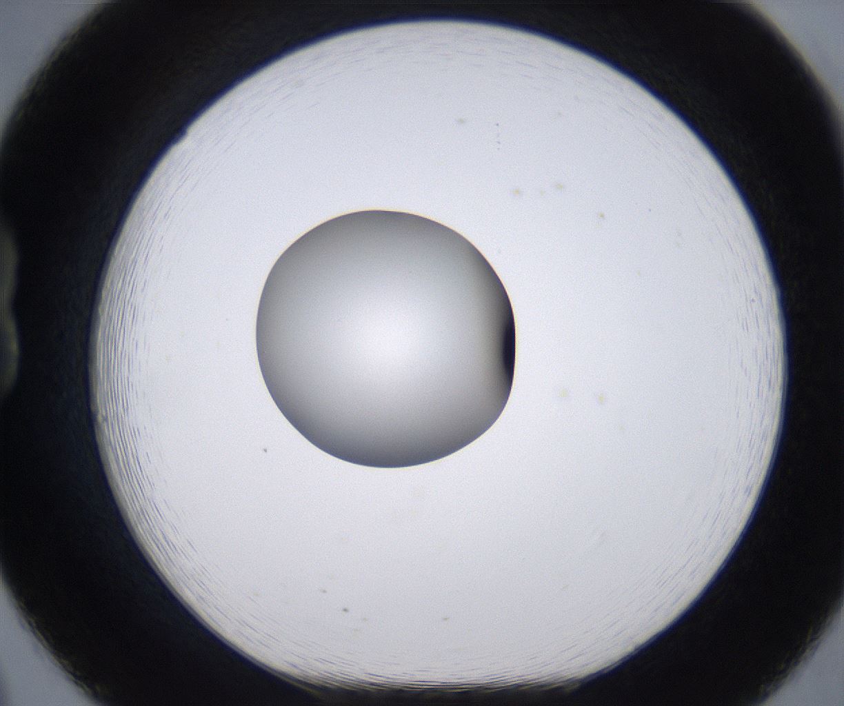 folderID264_plateID2264_batchID10350_wellNum20_profileID1_d1_r157397_ef.jpg