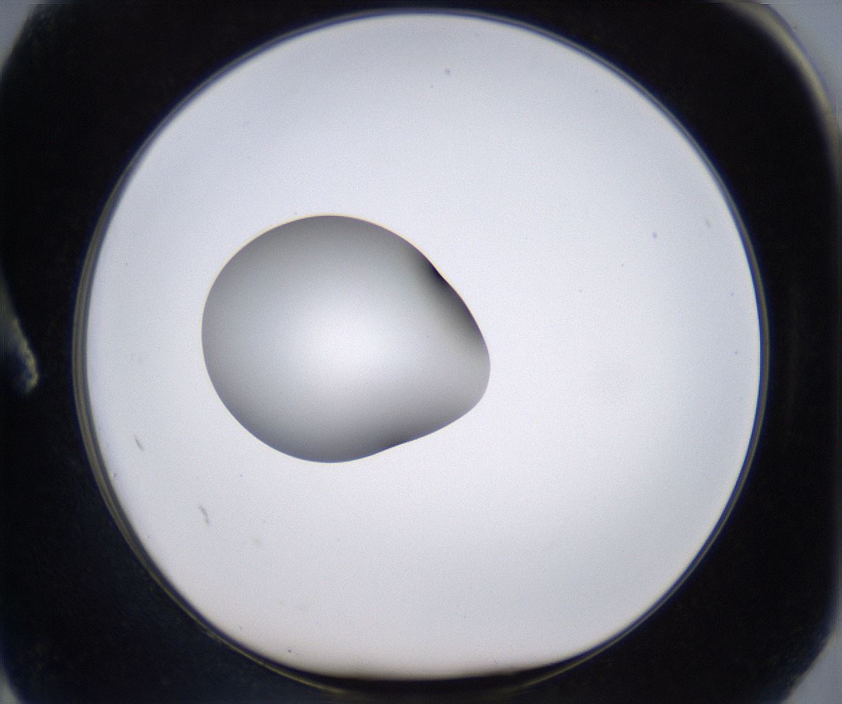 folderID264_plateID2264_batchID10350_wellNum2_profileID1_d1_r157379_ef.jpg