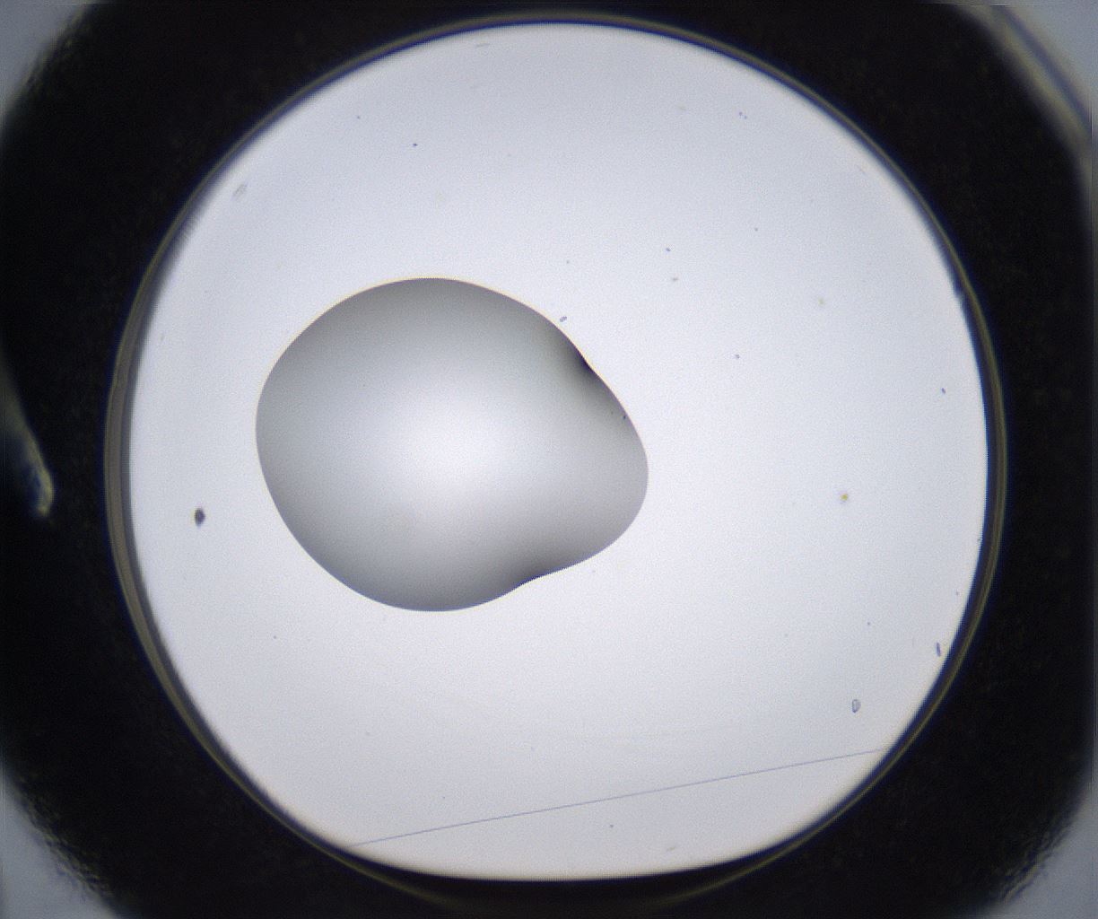folderID264_plateID2264_batchID10350_wellNum3_profileID1_d1_r157380_ef.jpg