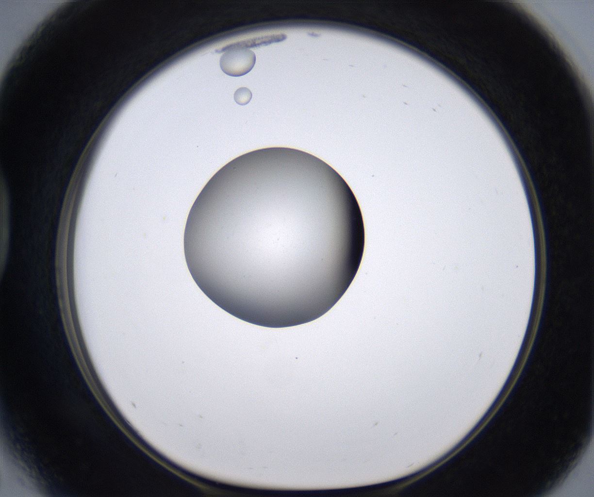 folderID264_plateID2264_batchID10350_wellNum41_profileID1_d1_r157418_ef.jpg