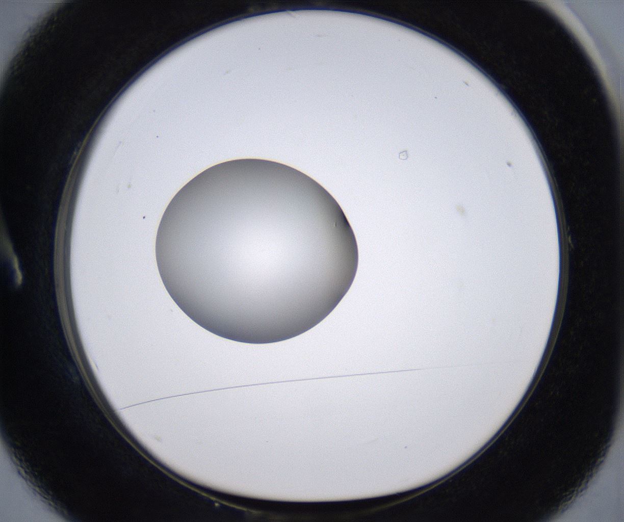 folderID264_plateID2264_batchID10350_wellNum1_profileID1_d1_r157378_ef.jpg