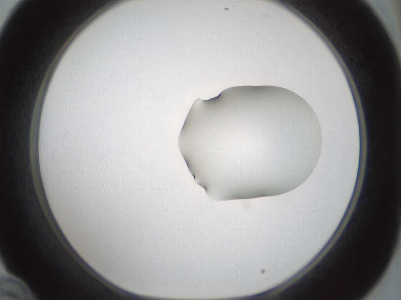 folderID265_plateID1265_batchID4190_wellNum34_profileID1_d1_r75130_ef.jpg