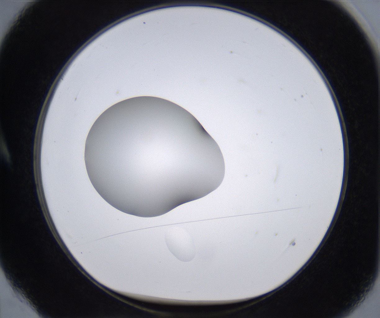 folderID264_plateID2264_batchID10350_wellNum4_profileID1_d1_r157381_ef.jpg