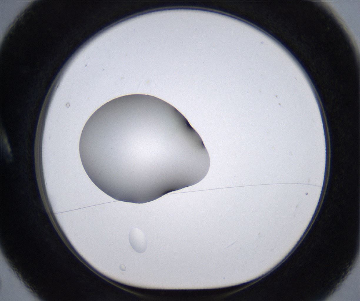 folderID264_plateID2264_batchID10350_wellNum5_profileID1_d1_r157382_ef.jpg