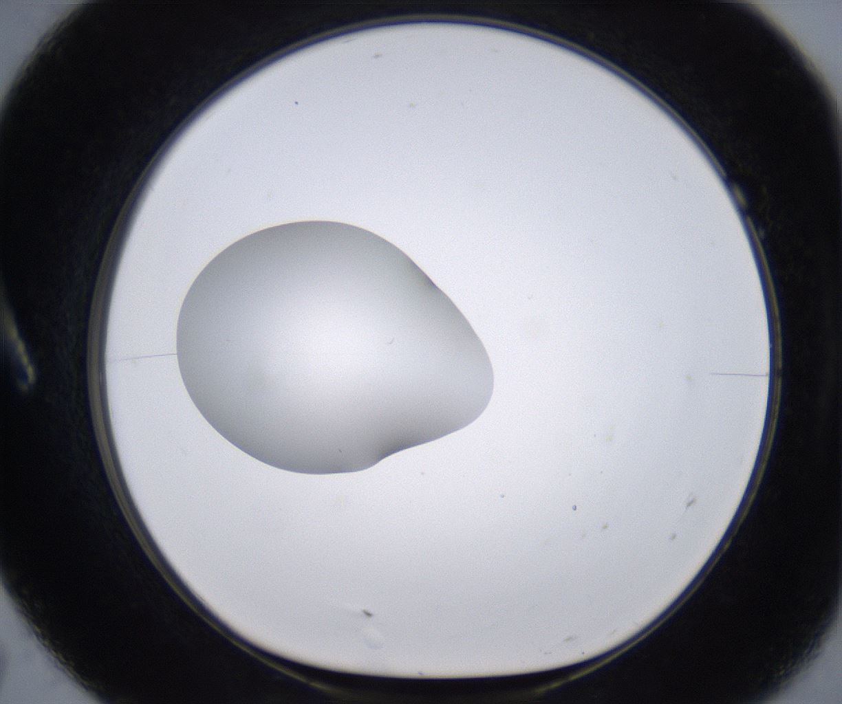 folderID264_plateID2264_batchID10350_wellNum7_profileID1_d1_r157384_ef.jpg