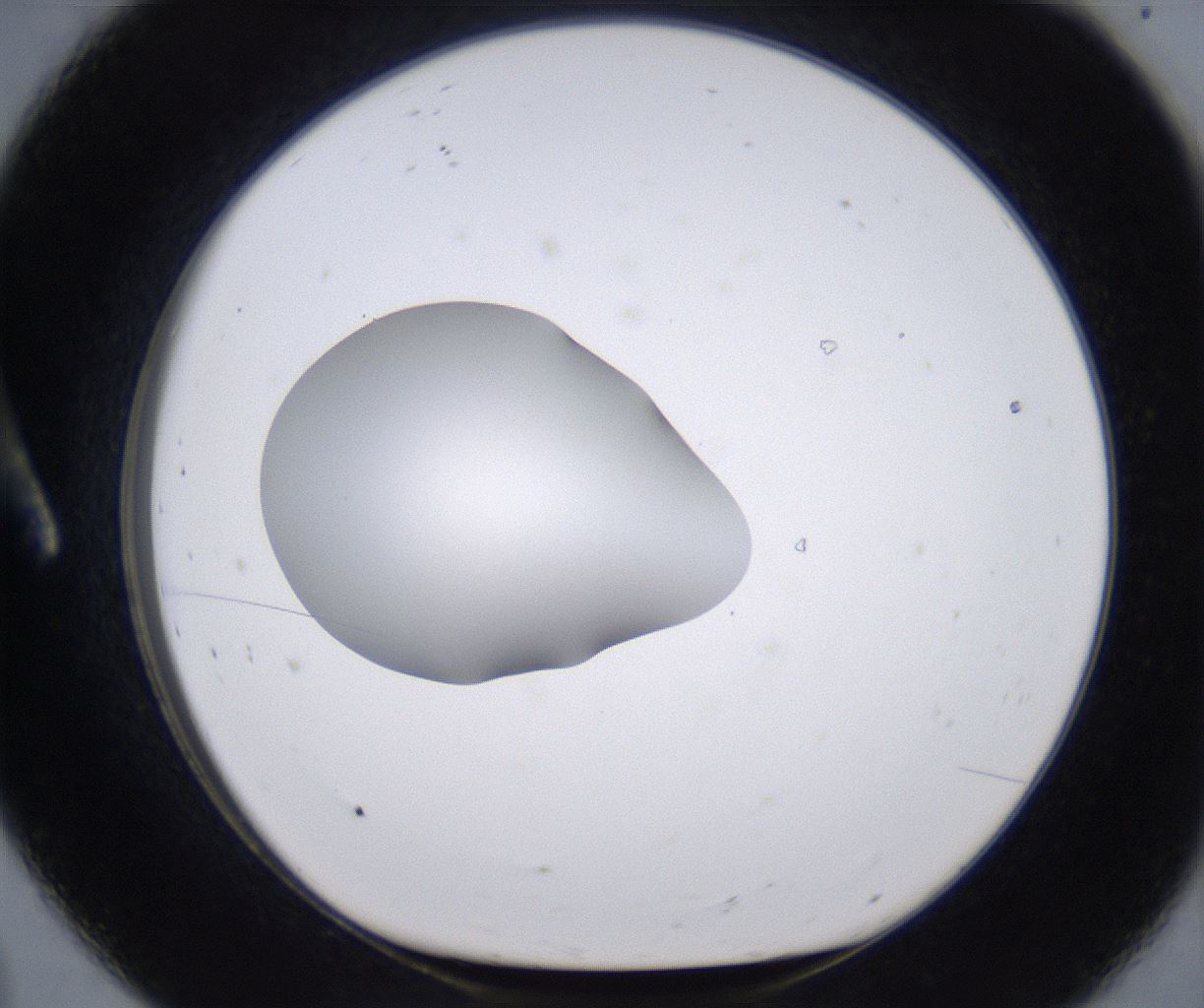 folderID264_plateID2264_batchID10350_wellNum8_profileID1_d1_r157385_ef.jpg