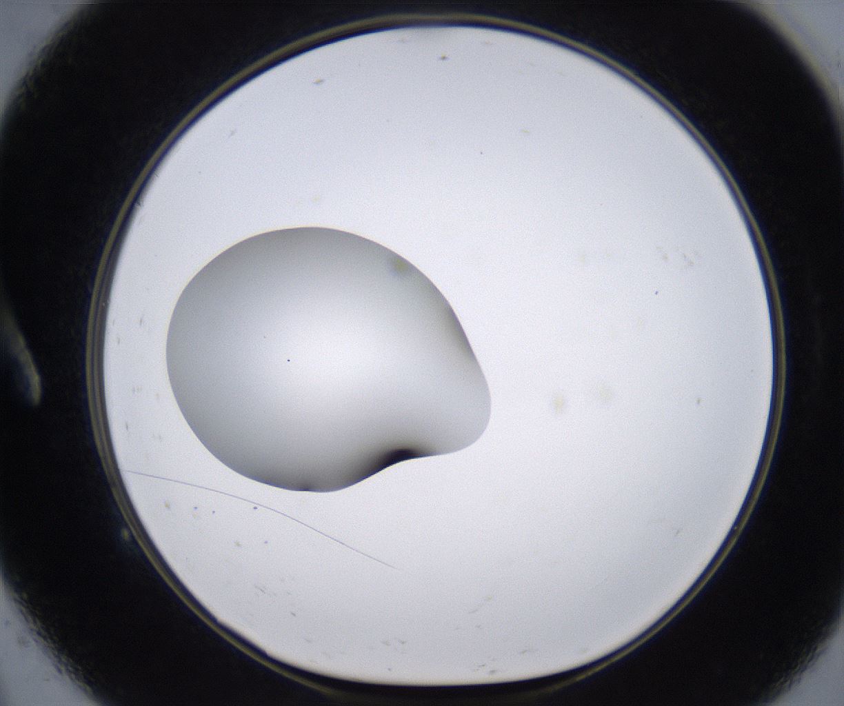 folderID264_plateID2264_batchID10350_wellNum9_profileID1_d1_r157386_ef.jpg