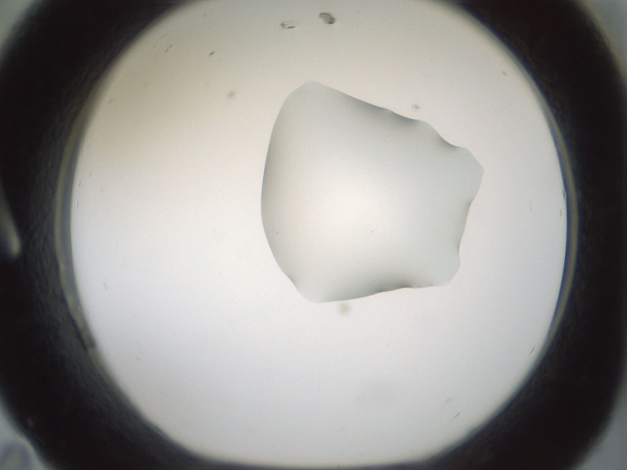 folderID265_plateID1265_batchID4190_wellNum11_profileID1_d1_r75084_ef.jpg