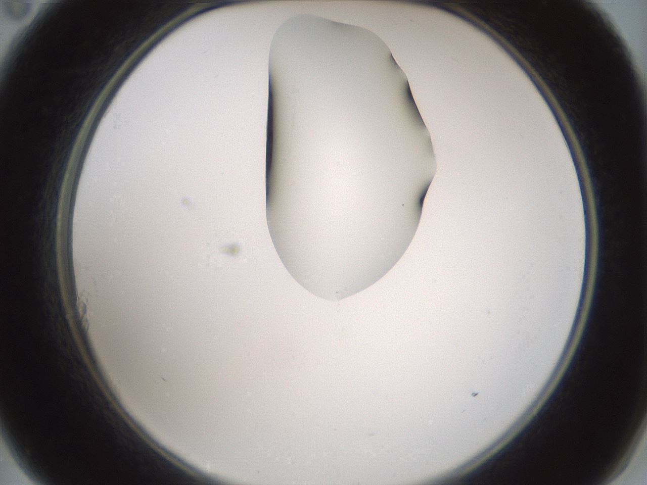 folderID265_plateID1265_batchID4190_wellNum11_profileID1_d2_r75085_ef.jpg