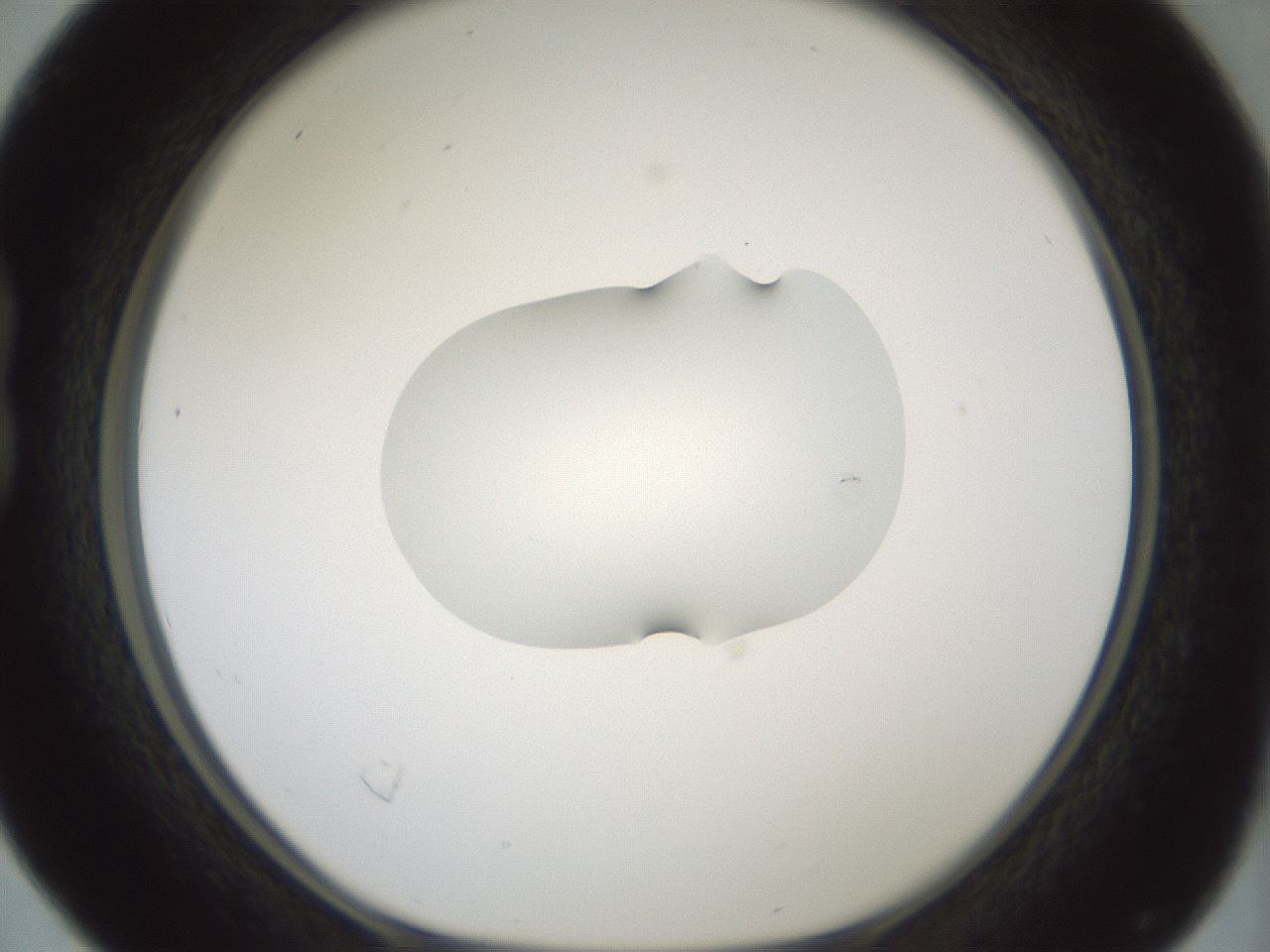 folderID265_plateID1265_batchID4190_wellNum16_profileID1_d1_r75094_ef.jpg