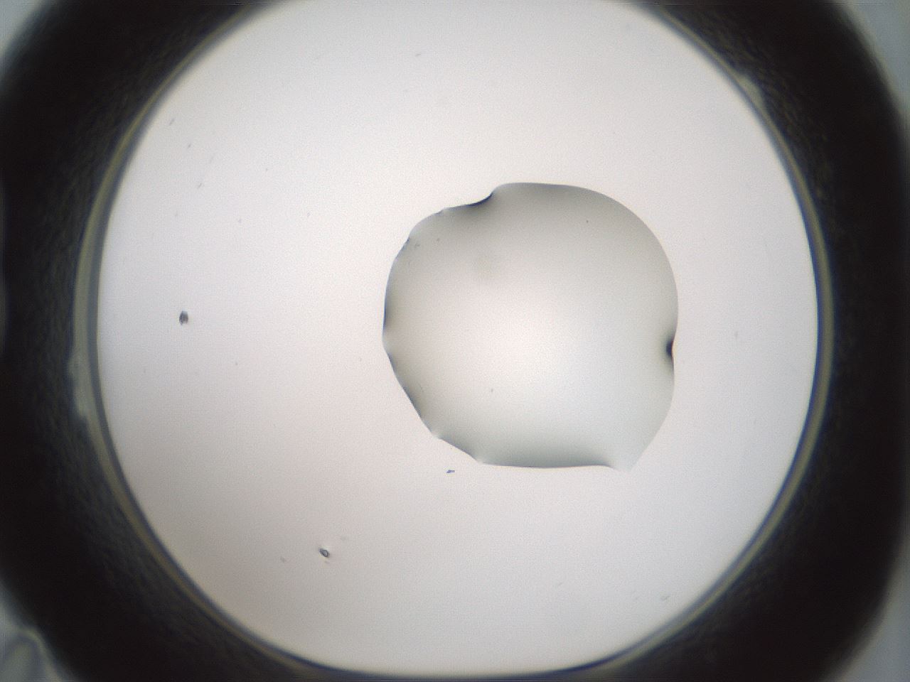 folderID265_plateID1265_batchID4190_wellNum23_profileID1_d1_r75108_ef.jpg
