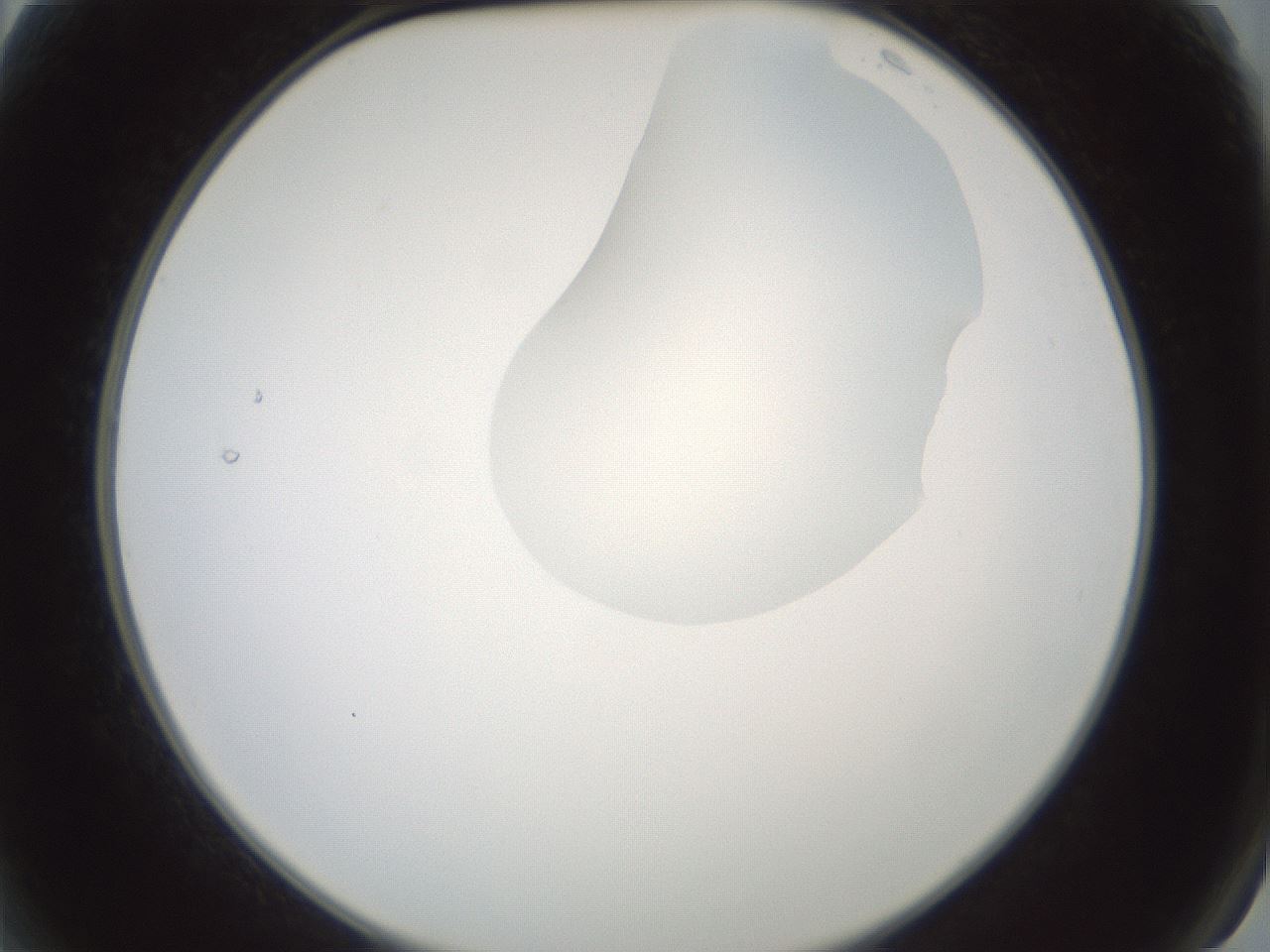 folderID265_plateID1265_batchID4190_wellNum2_profileID1_d2_r75067_ef.jpg