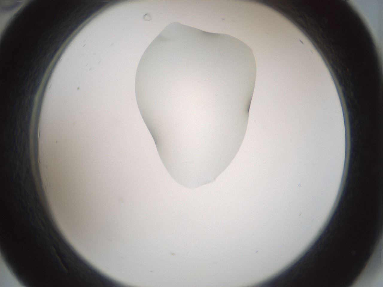 folderID265_plateID1265_batchID4190_wellNum34_profileID1_d2_r75131_ef.jpg