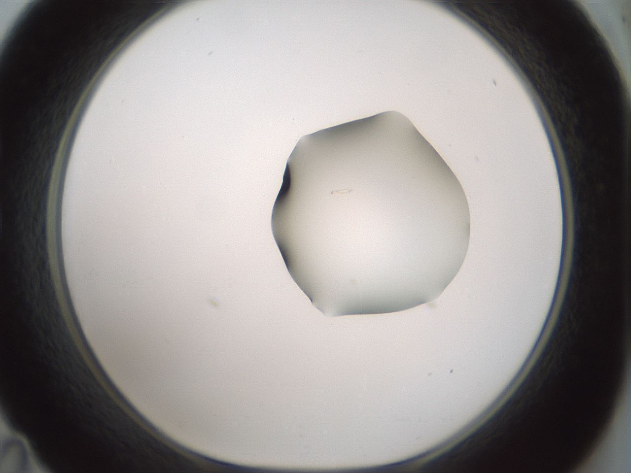 folderID265_plateID1265_batchID4190_wellNum35_profileID1_d1_r75132_ef.jpg