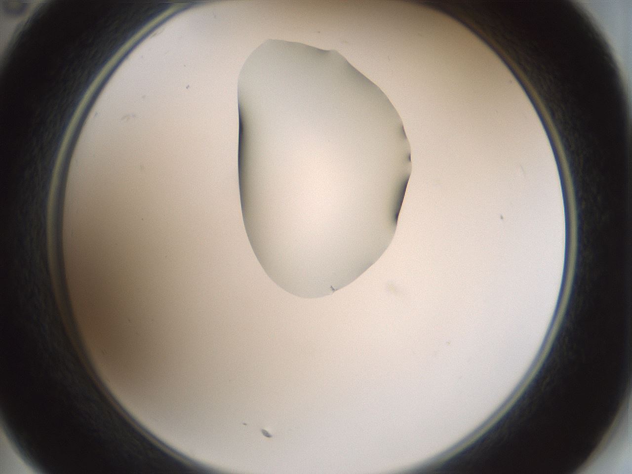 folderID265_plateID1265_batchID4190_wellNum35_profileID1_d2_r75133_ef.jpg