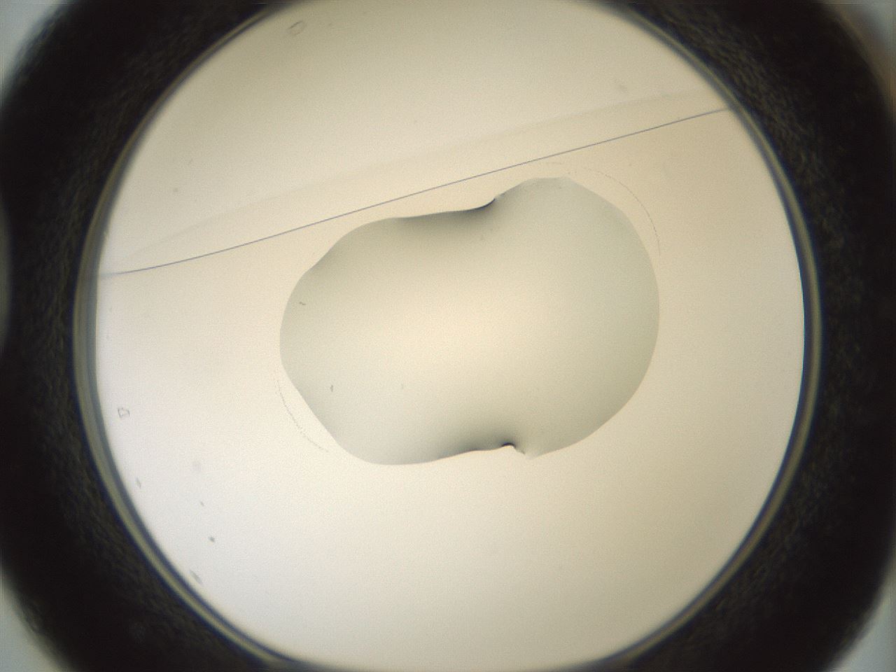 folderID265_plateID1265_batchID4190_wellNum37_profileID1_d1_r75136_ef.jpg