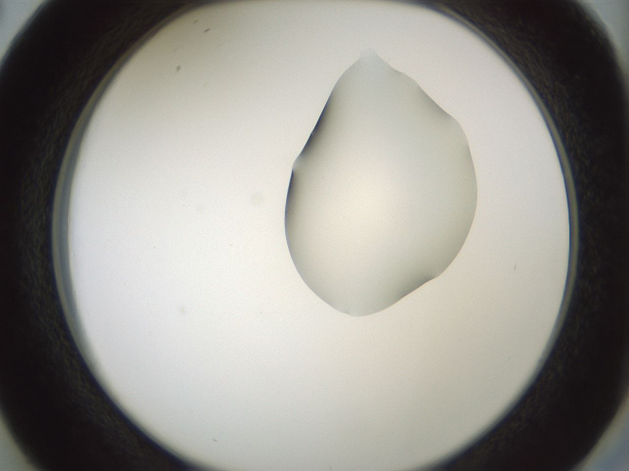 folderID265_plateID1265_batchID4190_wellNum38_profileID1_d2_r75139_ef.jpg