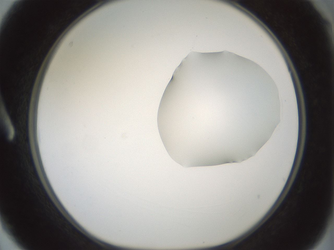 folderID265_plateID1265_batchID4190_wellNum3_profileID1_d1_r75068_ef.jpg