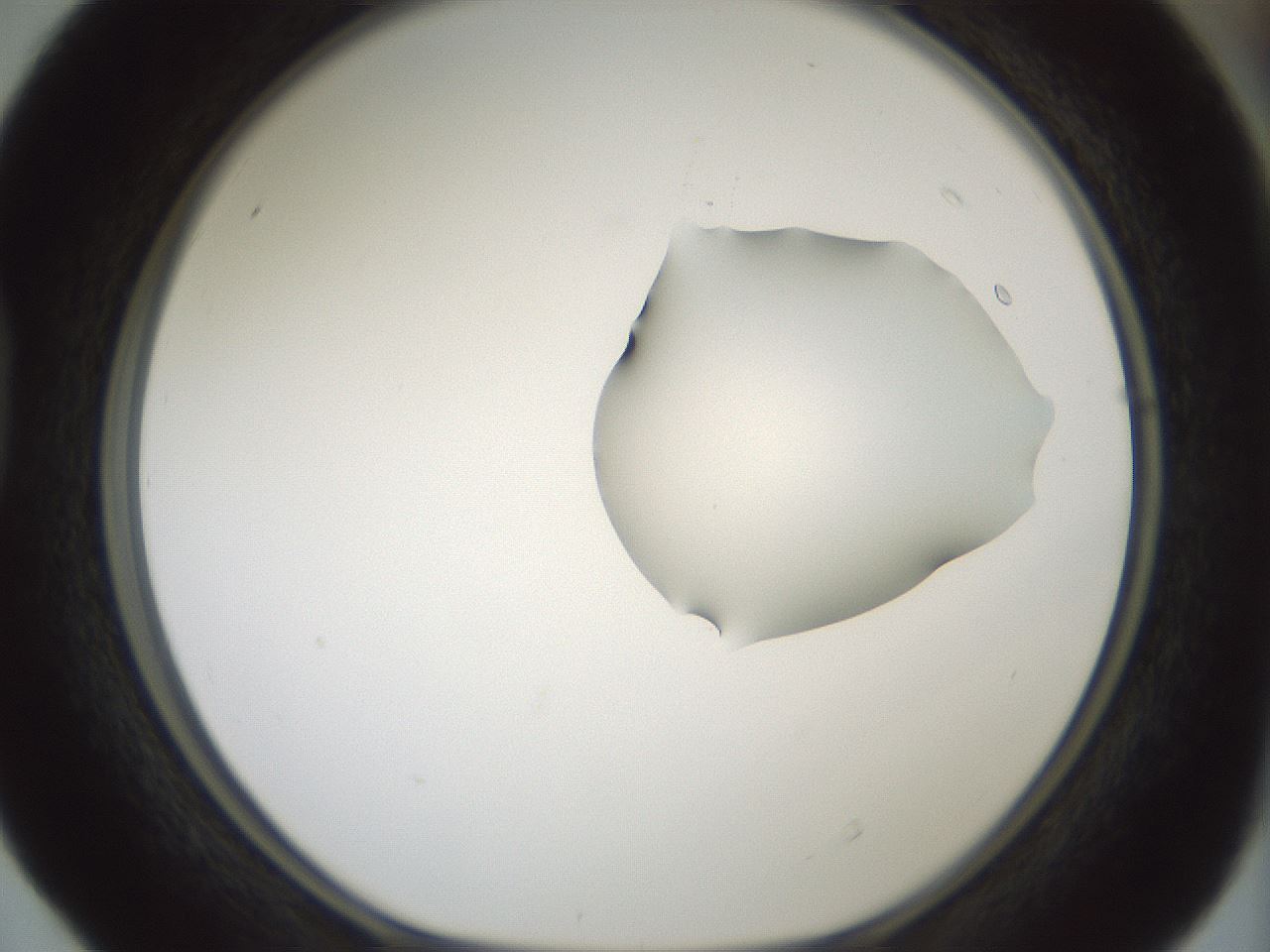 folderID265_plateID1265_batchID4190_wellNum40_profileID1_d1_r75142_ef.jpg