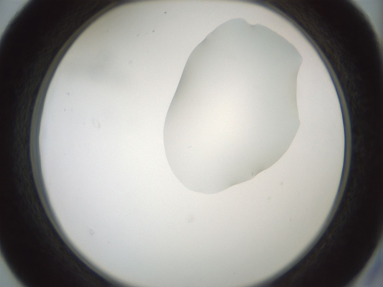 folderID265_plateID1265_batchID4190_wellNum40_profileID1_d2_r75143_ef.jpg
