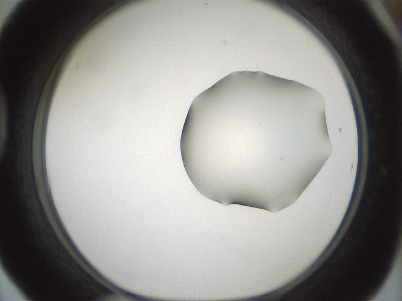folderID265_plateID1265_batchID4190_wellNum42_profileID1_d1_r75146_ef.jpg