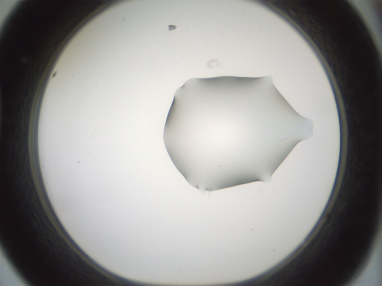 folderID265_plateID1265_batchID4190_wellNum44_profileID1_d1_r75150_ef.jpg