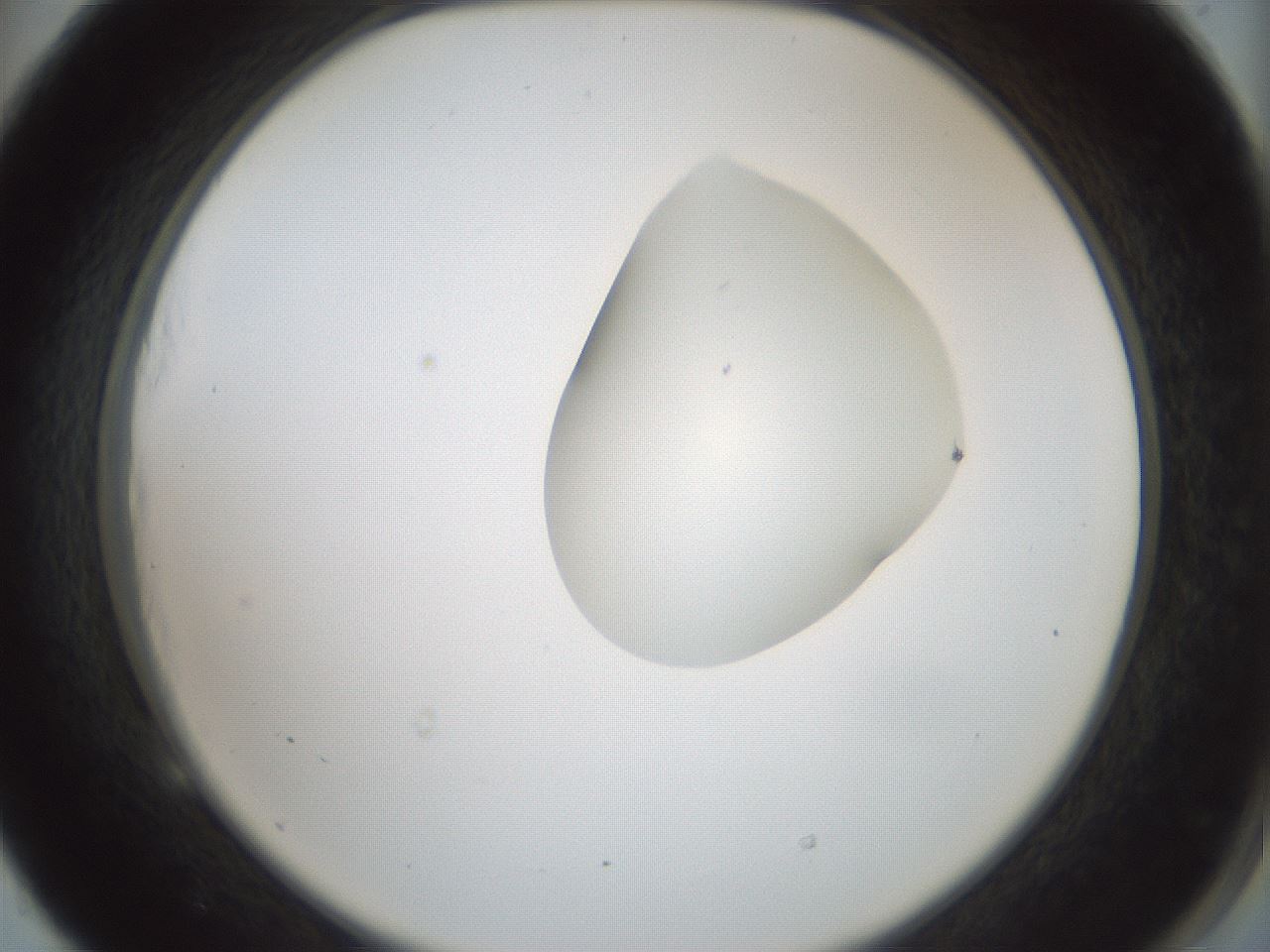 folderID265_plateID1265_batchID4190_wellNum53_profileID1_d2_r75169_ef.jpg