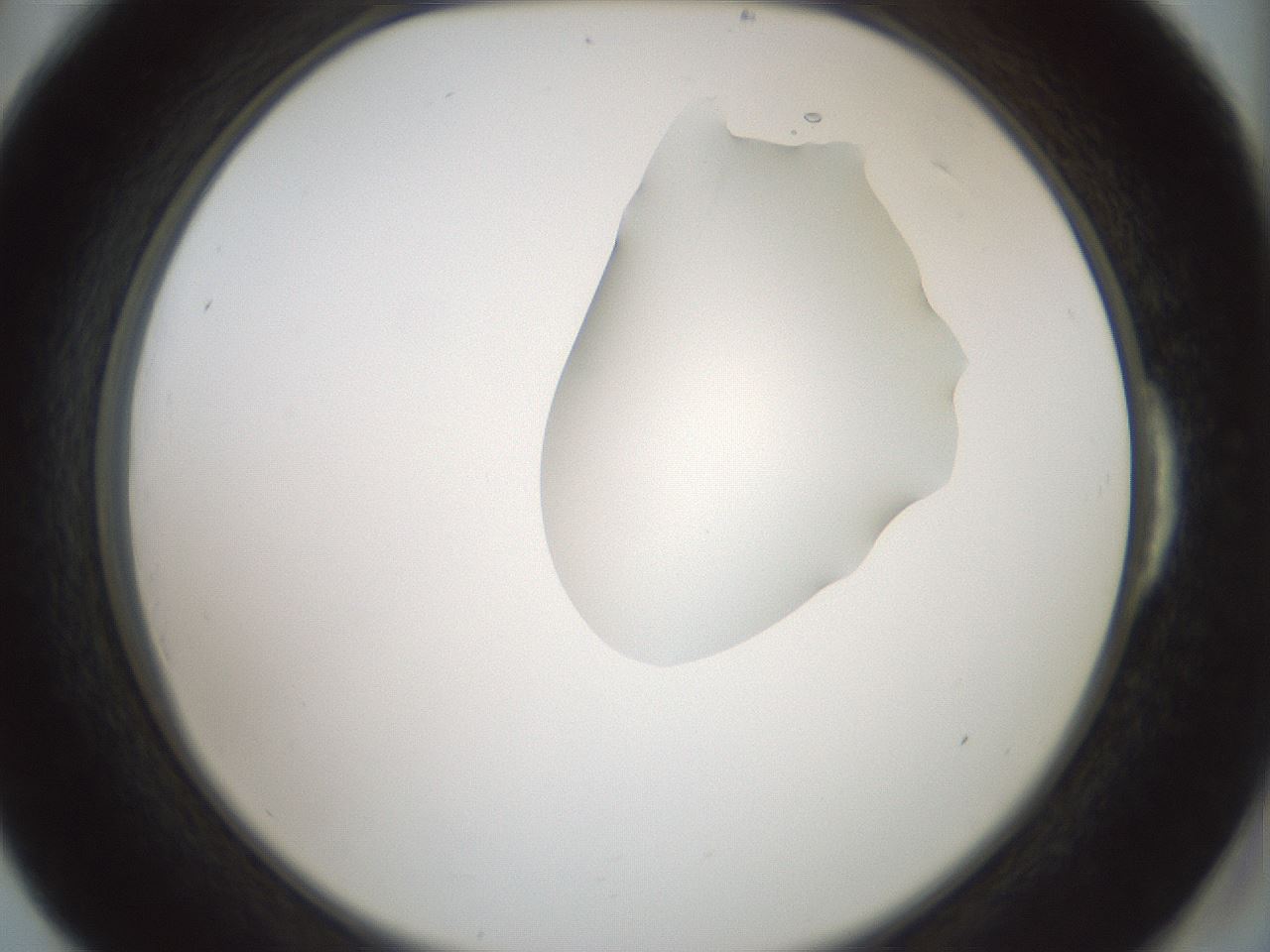 folderID265_plateID1265_batchID4190_wellNum54_profileID1_d2_r75171_ef.jpg