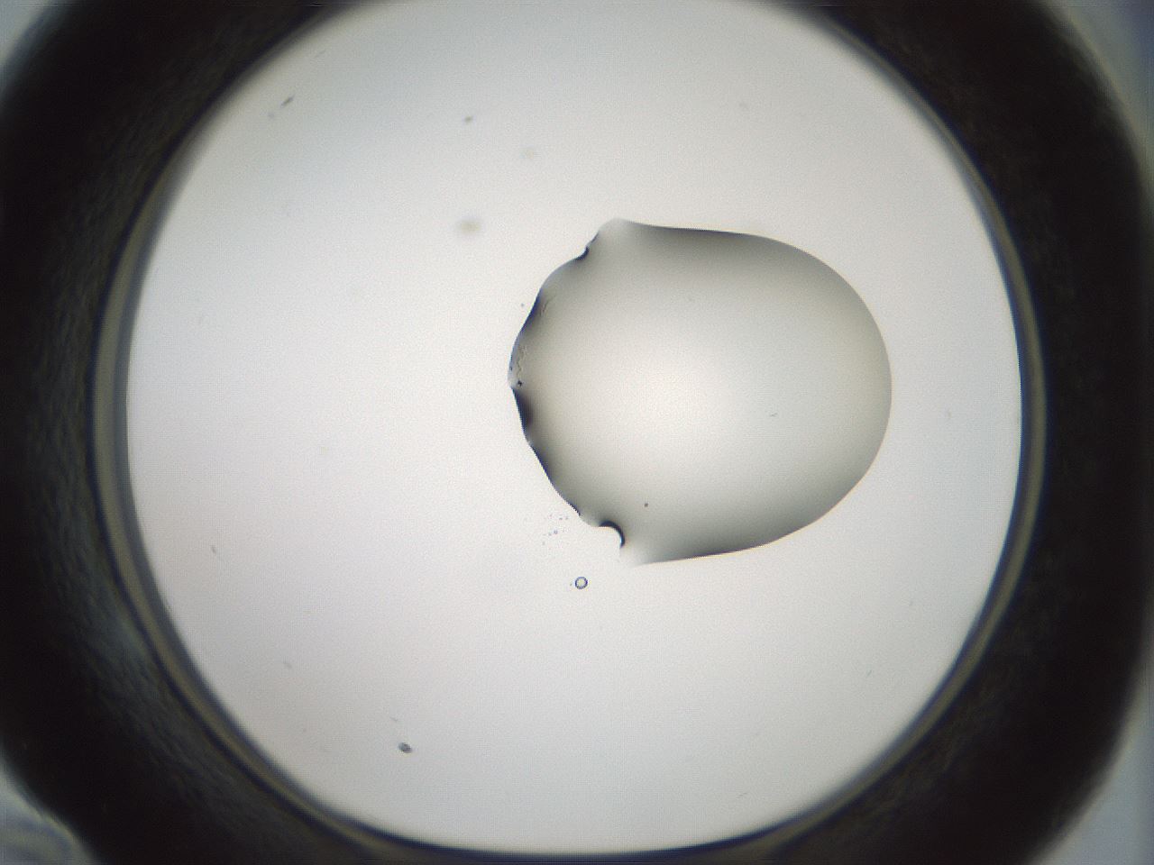folderID265_plateID1265_batchID4190_wellNum58_profileID1_d1_r75178_ef.jpg