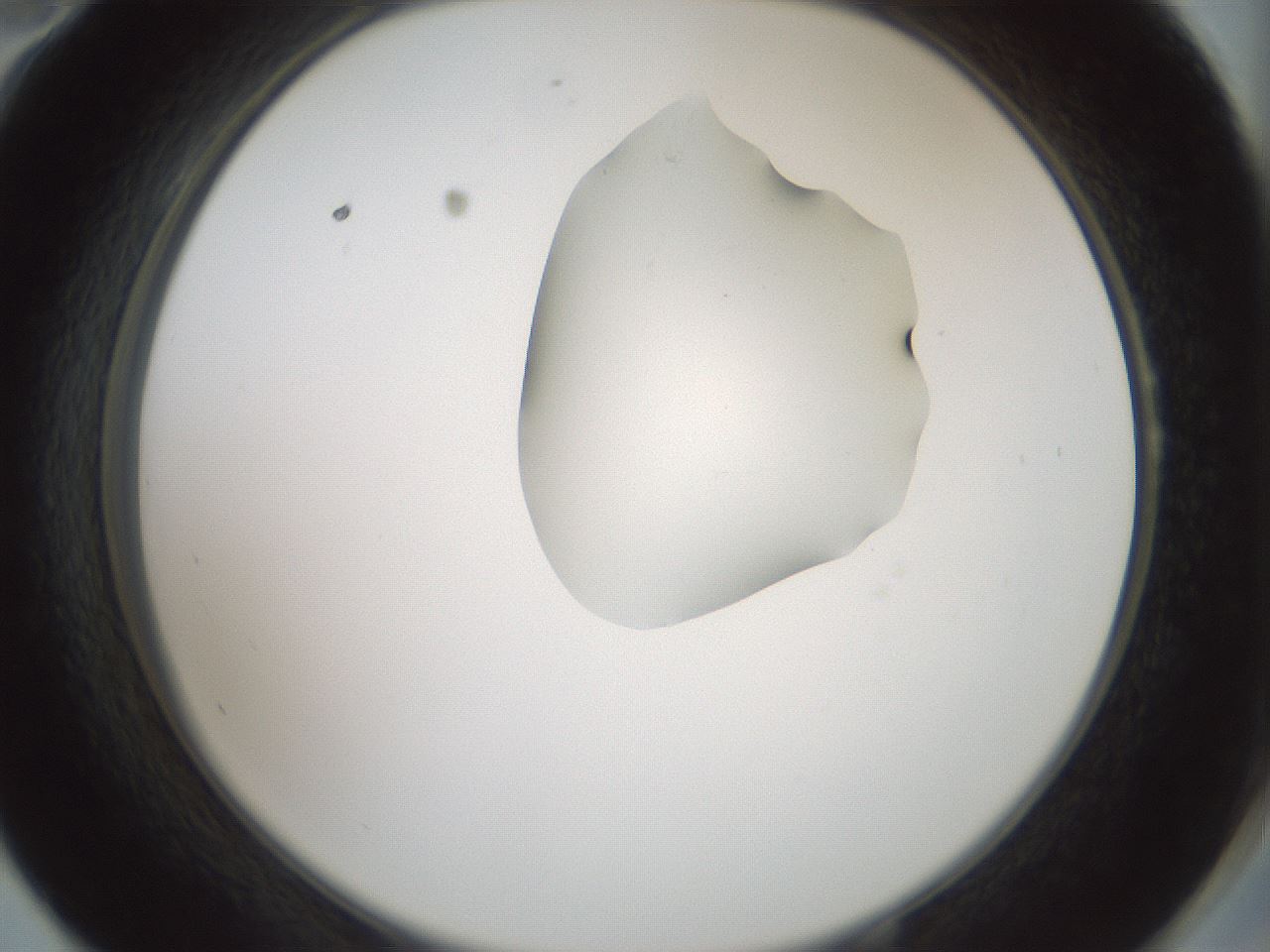 folderID265_plateID1265_batchID4190_wellNum58_profileID1_d2_r75179_ef.jpg