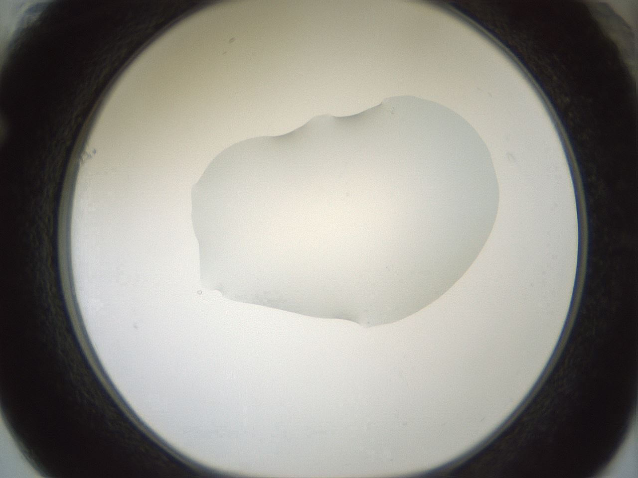 folderID265_plateID1265_batchID4190_wellNum61_profileID1_d1_r75184_ef.jpg