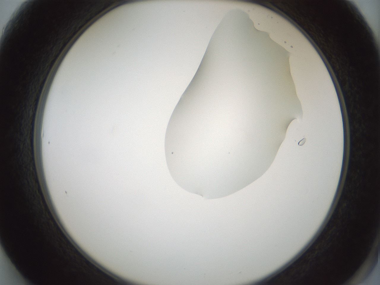 folderID265_plateID1265_batchID4190_wellNum61_profileID1_d2_r75185_ef.jpg