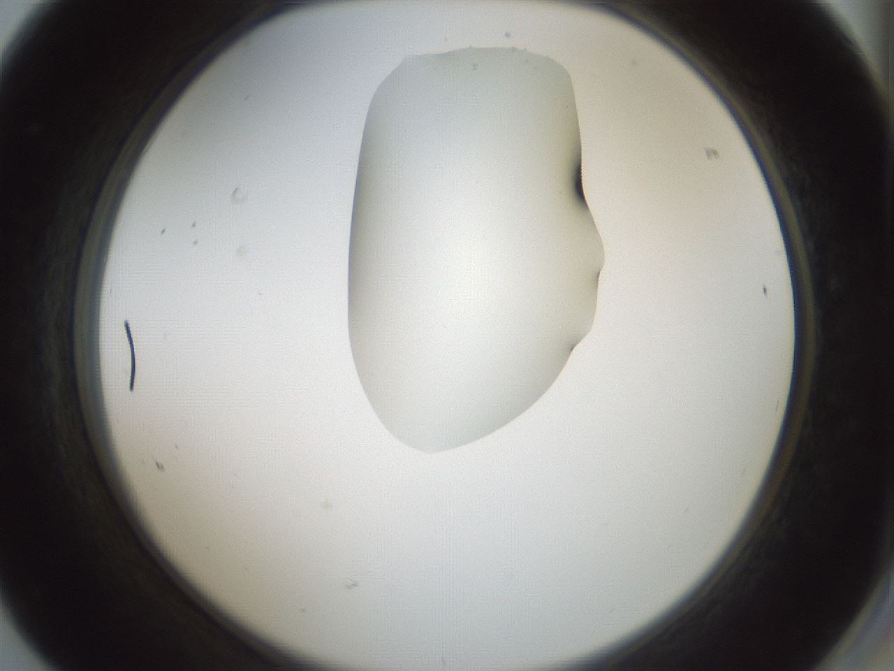 folderID265_plateID1265_batchID4190_wellNum68_profileID1_d2_r75199_ef.jpg