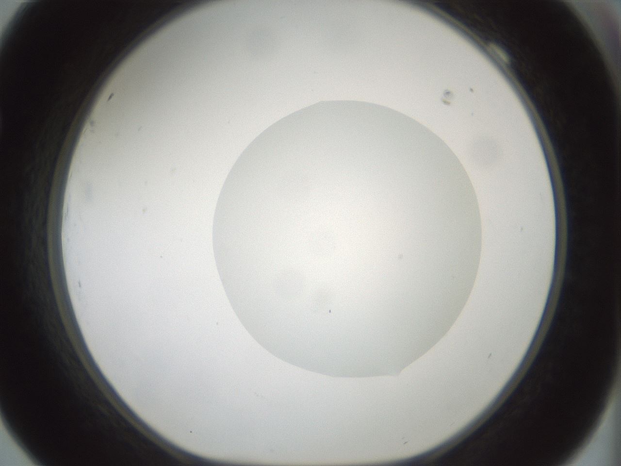 folderID265_plateID1265_batchID4190_wellNum69_profileID1_d1_r75200_ef.jpg