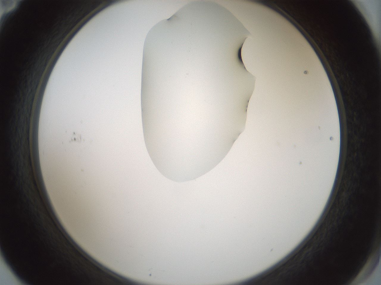 folderID265_plateID1265_batchID4190_wellNum71_profileID1_d2_r75205_ef.jpg