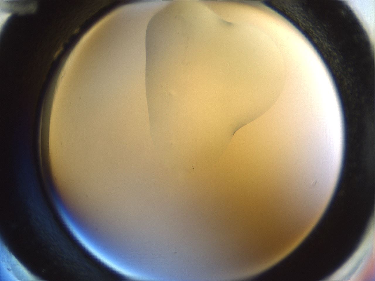 folderID265_plateID1265_batchID4190_wellNum96_profileID1_d2_r75255_ef.jpg
