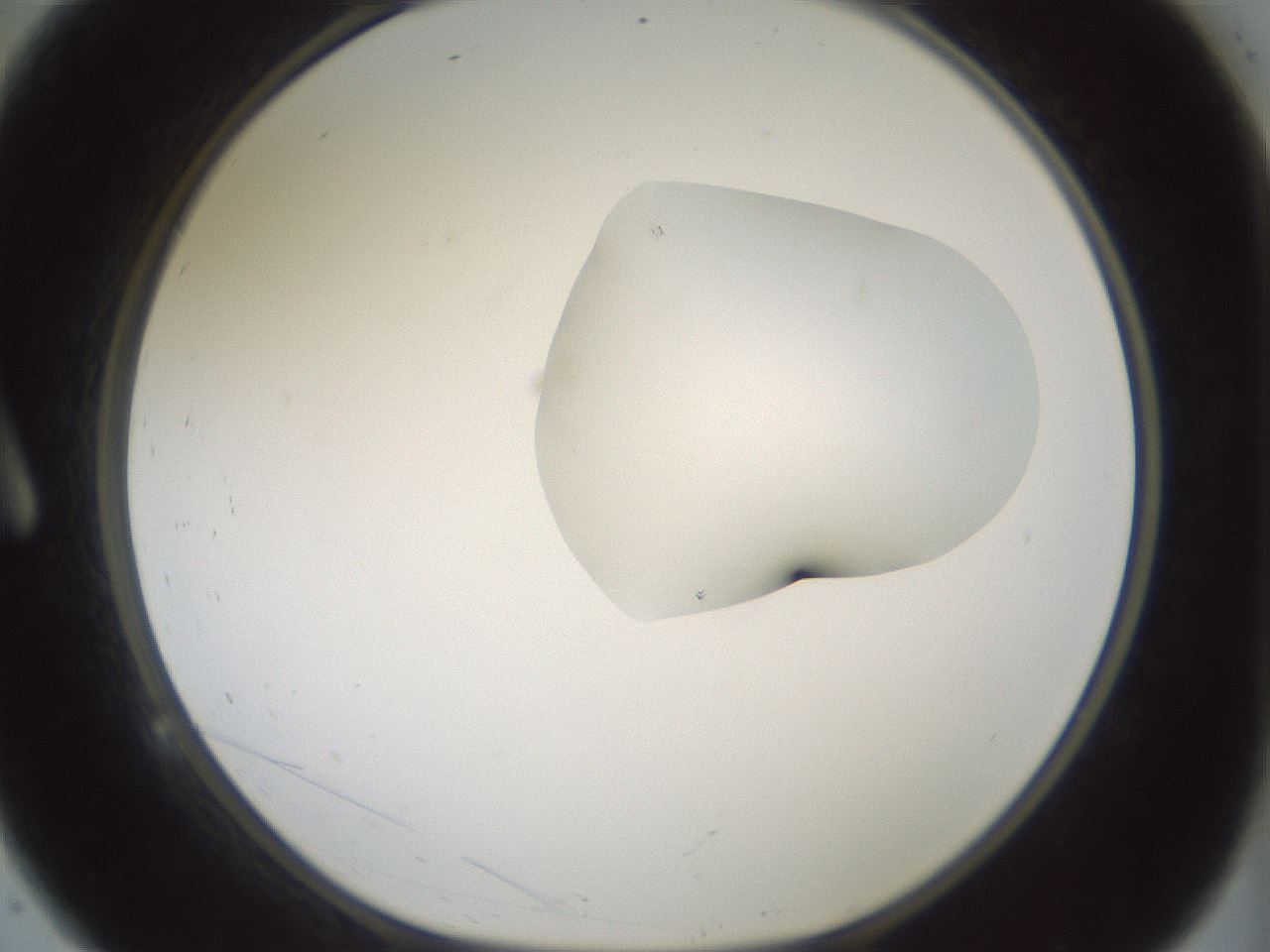 folderID265_plateID1265_batchID4190_wellNum9_profileID1_d1_r75080_ef.jpg