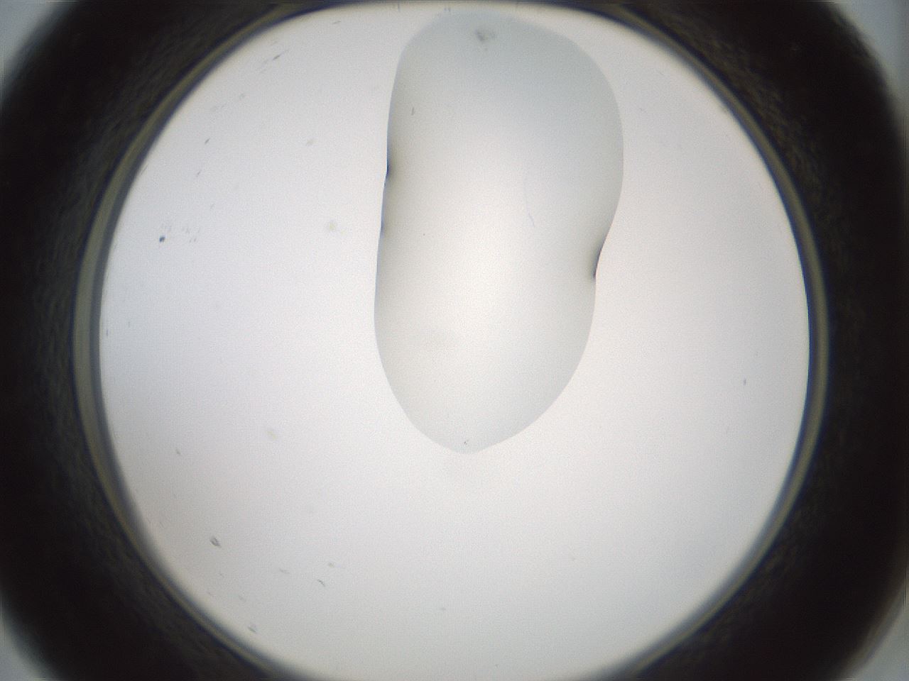 folderID265_plateID1265_batchID4190_wellNum9_profileID1_d2_r75081_ef.jpg
