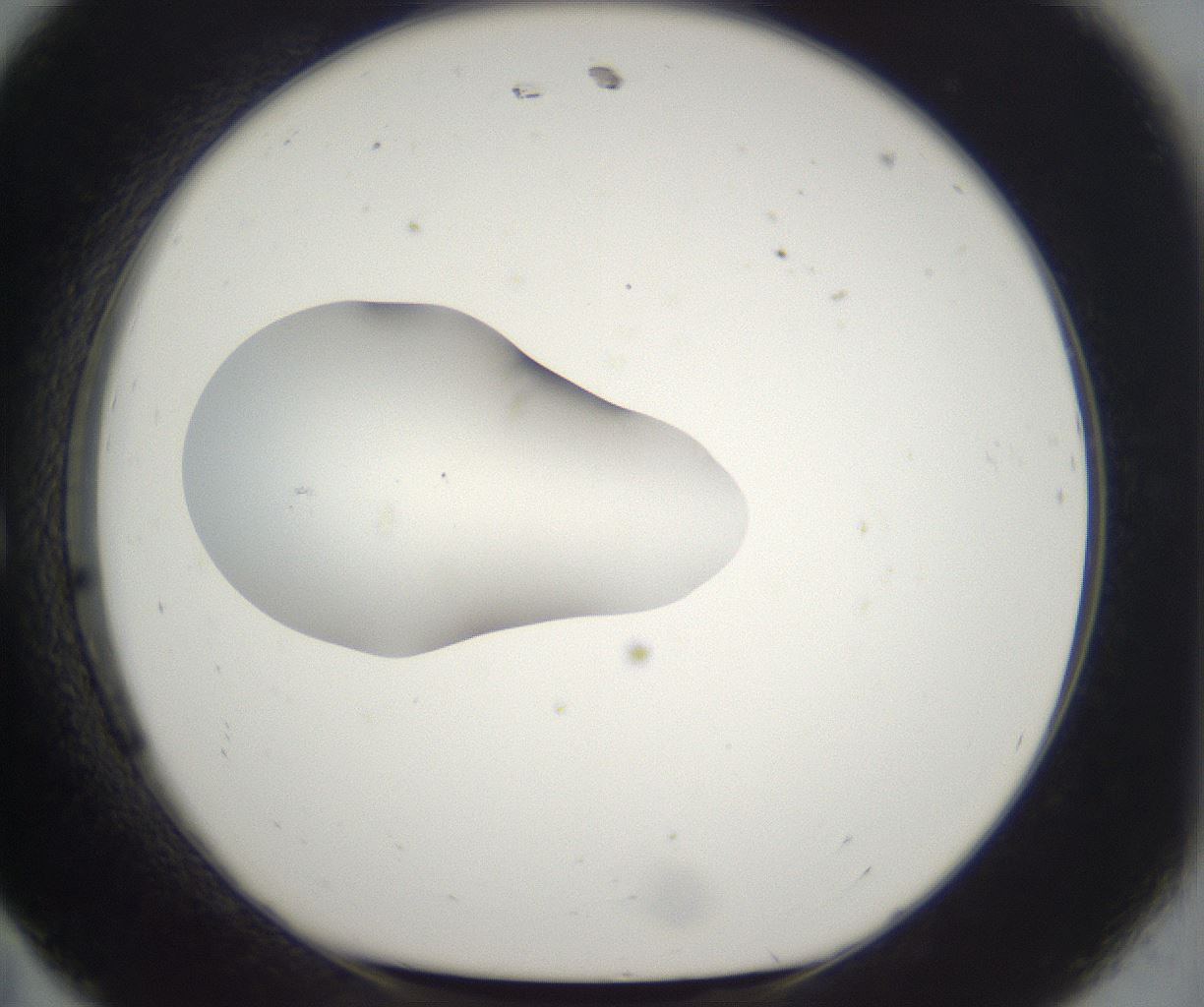 folderID265_plateID2265_batchID10362_wellNum11_profileID1_d1_r158252_ef.jpg