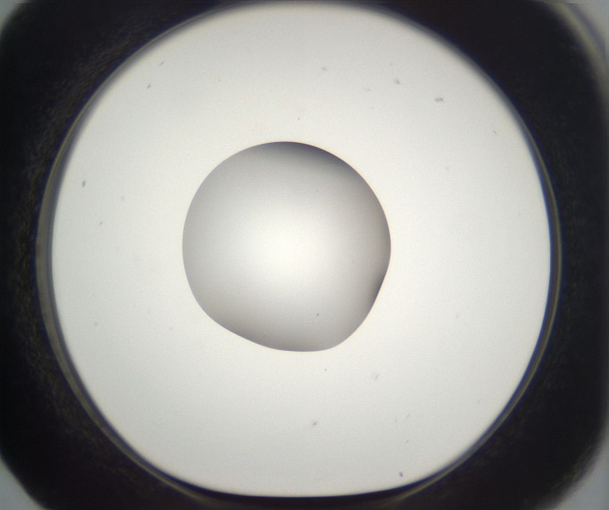 folderID265_plateID2265_batchID10362_wellNum17_profileID1_d1_r158258_ef.jpg