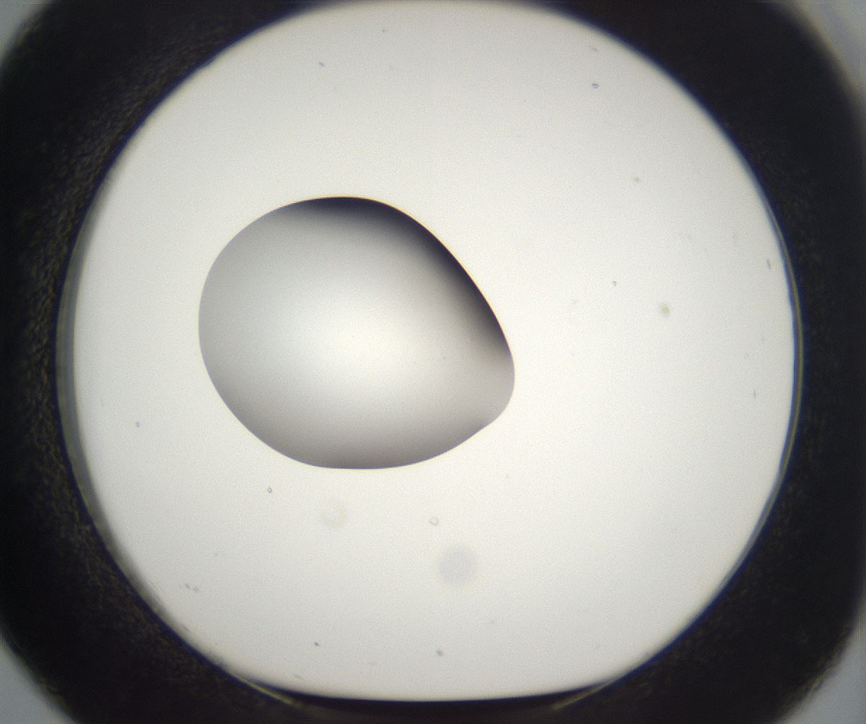 folderID265_plateID2265_batchID10362_wellNum26_profileID1_d1_r158267_ef.jpg