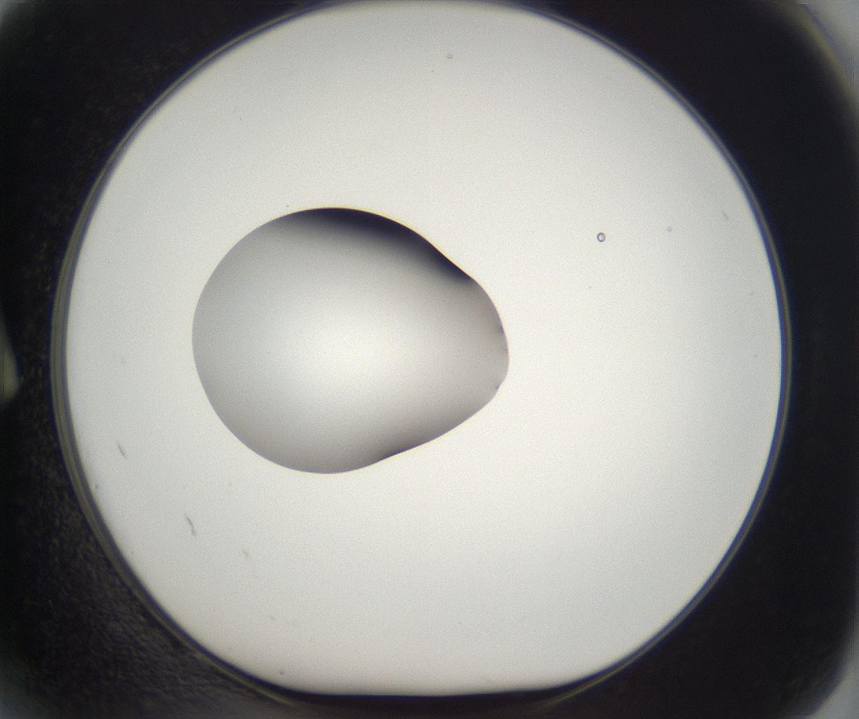 folderID265_plateID2265_batchID10362_wellNum2_profileID1_d1_r158243_ef.jpg