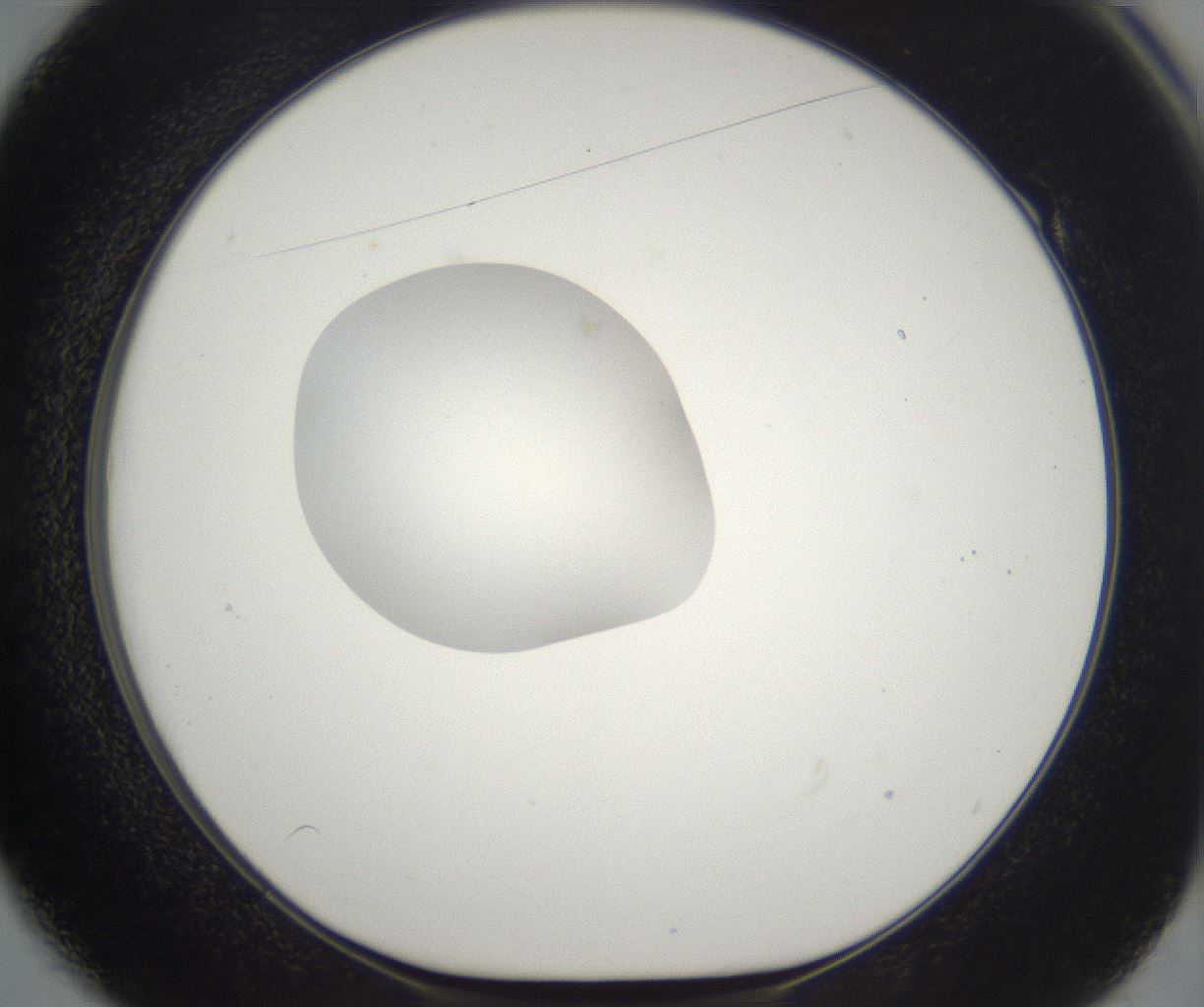 folderID265_plateID2265_batchID10362_wellNum49_profileID1_d1_r158290_ef.jpg