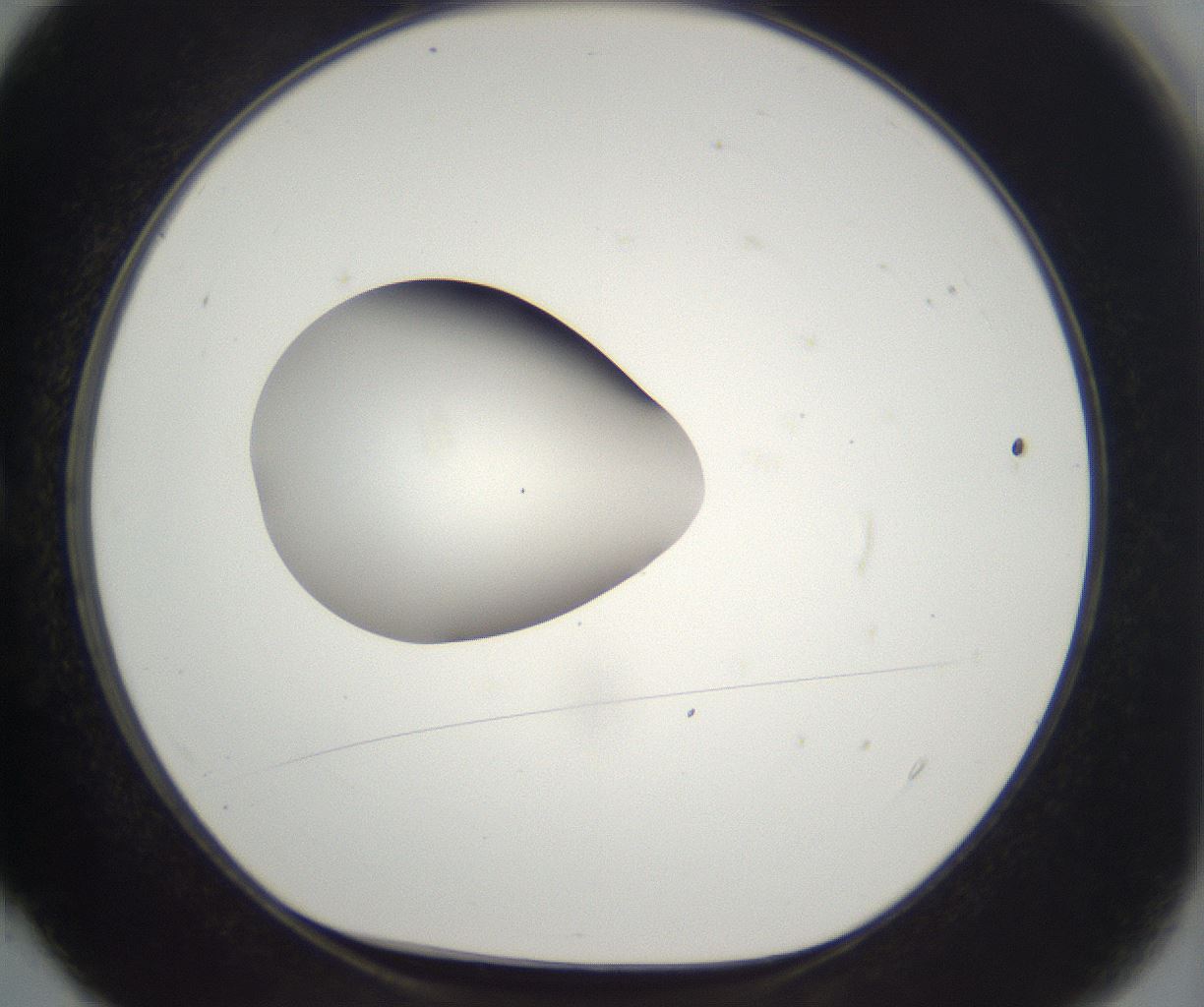 folderID265_plateID2265_batchID10362_wellNum4_profileID1_d1_r158245_ef.jpg