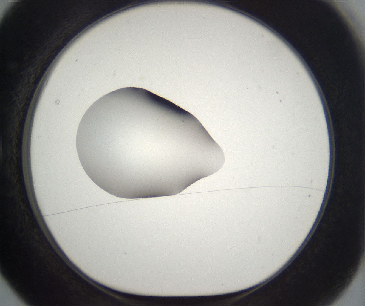 folderID265_plateID2265_batchID10362_wellNum5_profileID1_d1_r158246_ef.jpg