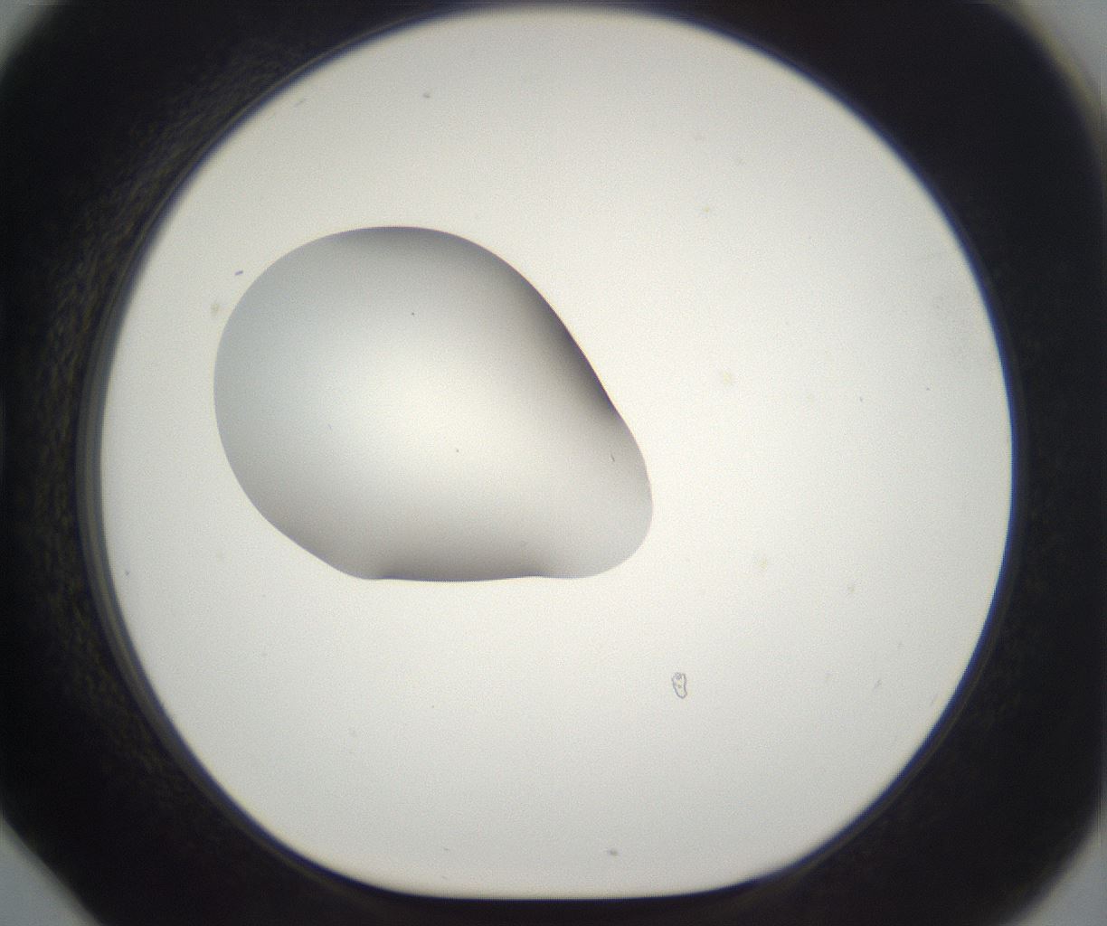 folderID265_plateID2265_batchID10362_wellNum78_profileID1_d1_r158319_ef.jpg