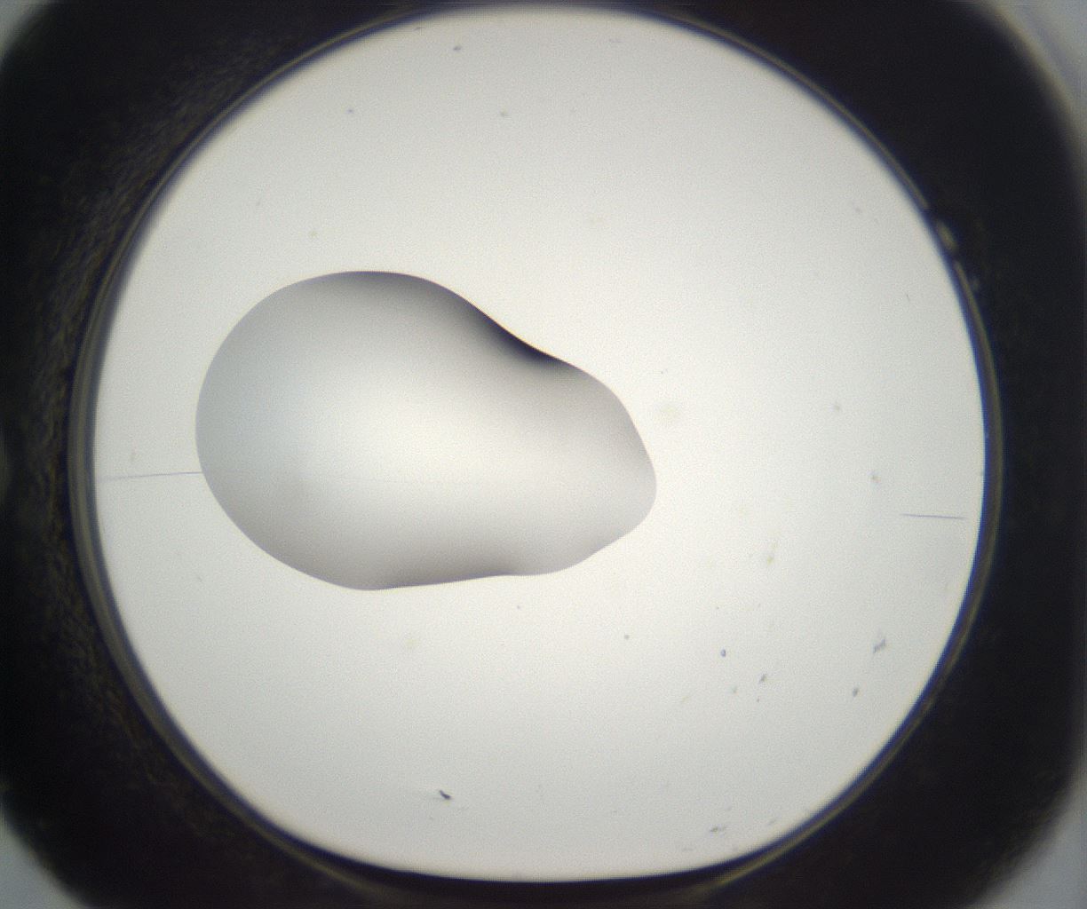 folderID265_plateID2265_batchID10362_wellNum7_profileID1_d1_r158248_ef.jpg
