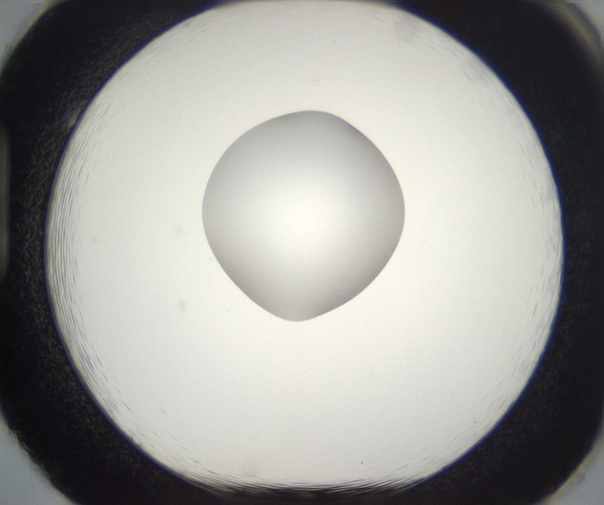 folderID265_plateID2265_batchID10362_wellNum86_profileID1_d1_r158327_ef.jpg